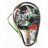Набор для настольного тенниса Giant Dragon BST12201 2 зв