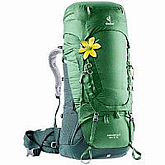 Рюкзак Deuter Aircontact 60+10 SL 3320419-2238 leaf/forest (2020-21)