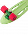 Penny board (пенни борд) Ridex Greencie 22" Penny board (пенни борд) Ridex Greencie 22"