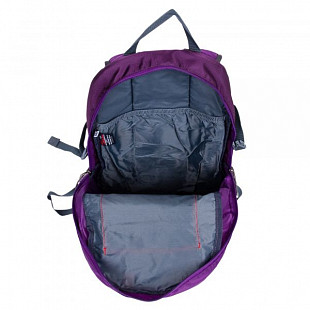 Рюкзак Polar П1626 purple