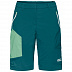 Шорты женские Jack Wolfskin Overland Shorts W dark spruce