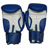 Боксерские перчатки Atemi LTB19018 Blue