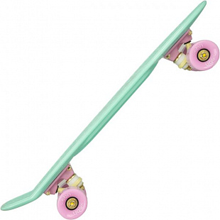 Penny board (пенни борд) Ridex Minty 22''