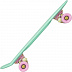 Penny board (пенни борд) Ridex Minty 22'' Penny board (пенни борд) Ridex Minty 22''