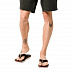 Вьетнамки мужские Jack Wolfskin Beachster Lt M espresso / rocky brown
