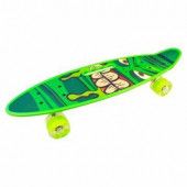 Penny board (пенни борд) Shantou 2507 green