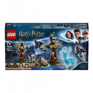 Конструктор LEGO Ninjago Экспекто Патронум! 75945