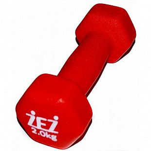 Гантель виниловая Zez Sport 2 кг 2kg-N