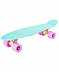 Penny board (пенни борд) Ridex Minty 22'' Penny board (пенни борд) Ridex Minty 22''