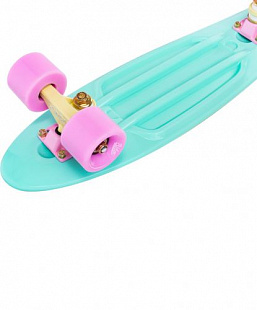 Penny board (пенни борд) Ridex Minty 22''