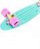Penny board (пенни борд) Ridex Minty 22'' Penny board (пенни борд) Ridex Minty 22''