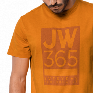 Футболка мужская Jack Wolfskin 365 T M rusty orange