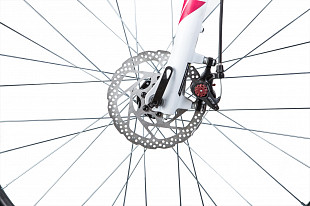Велосипед Stinger Liberty Evo Pro 28" (2020) pink