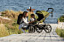 Прогулочная коляска Thule Urban Glide 2 black/cypress green (10101944)