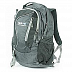 Городской рюкзак Polar П1521 grey