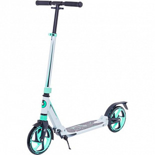 Самокат Ridex Stellar mint/gray