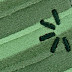 Чехол для фотоаппарата Case Logic UNZT202GN green