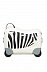 Чемодан Samsonite Dream Rider 51см CK8-05001 Zebra 