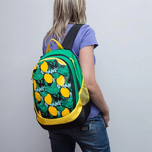 Школьный рюкзак GRIZZLY RD-953-4 lemons
