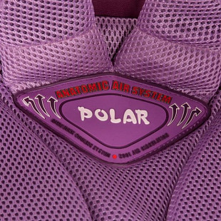 Школьный рюкзак Polar Д1208 purple
