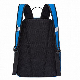 Рюкзак школьный GRIZZLY RB-964-5 /4 blue