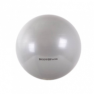 Мяч гимнастический Body Form 22" 55 см BF-GB01 silver