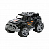 Автомобиль Полесье Легион №4 76014 Black Автомобиль Полесье Легион №4 76014 Black