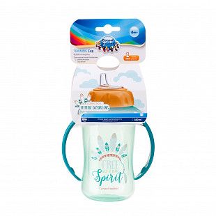 Поильник Canpol babies FUTURE DAYDREAMS  с силиконовым носиком 6м+ 320 мл (56/514)  turquoise