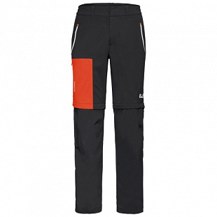 Брюки с молнией мужские Jack Wolfskin Overland Zip Away M black wild brier