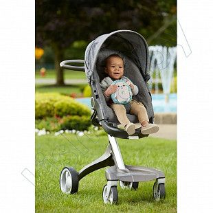 Игрушка Fisher Price Ежик (FXC58)