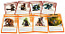 Карточная игра Hobby World Pathfinder. Череп и кандалы 1666 Карточная игра Hobby World Pathfinder. Череп и кандалы 1666