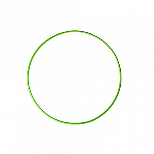 Обруч гимнастический Absolute Champion 54 см lime