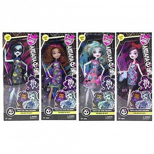 Кукла Monster High DH2163
