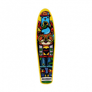 Penny board (пенни борд) RGX 200 PNB-07 22" LED