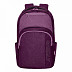 Рюкзак городской GRIZZLY RX-114-1 /4 purple
