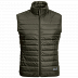 Жилет мужский Jack Wolfskin Jwp Vest M green pine