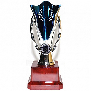 Кубок сувенирный Zez Sport H16-658-120-B
