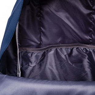Рюкзак Polar 101(ФМ164) blue