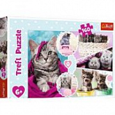 Пазл Trefl Милые котята 15371