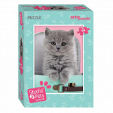 Мозаика Step Puzzle Мирна Котенок в коробке 54 71153