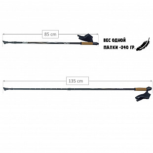 Палки для скандинавской ходьбы RGX NWS-111 black