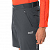 Шорты мужские Jack Wolfskin Delta Shorts M dark iron
