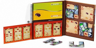 Магнитная игра Bondibon Деловые жуки ВВ0885 SGT 230 RU