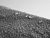 Противокражный рюкзак XD Design Bobby Urban P705-642 Grey