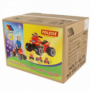 Мини-квадрацикл Полесье Molto 6V (R) 61843