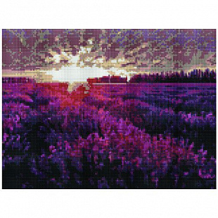 Алмазная мозаика Picasso "Закат над лавандовым полем" PD3040003