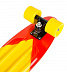 Penny board (пенни борд) Maxcity X1 Small Color