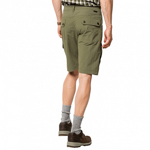 Шорты мужские Jack Wolfskin Dawson Lake Short M khaki