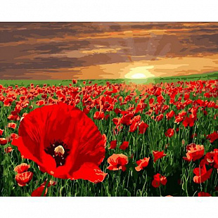 Картина по номерам Picasso Заход солнца над полем маков PC4050352