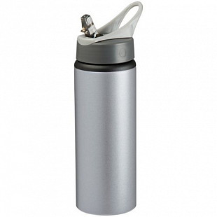 Бутылка для воды 98207 Grey